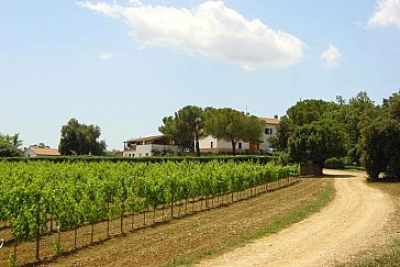 Ferienwohnung in Massa Marittima - Agriturismo Tesorino