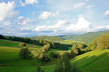 Ferienwohnung in Neuenweg - Landschaft