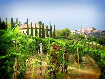 Ferienwohnung in Calamandrana - Ausblick über die Valle San Giovanni