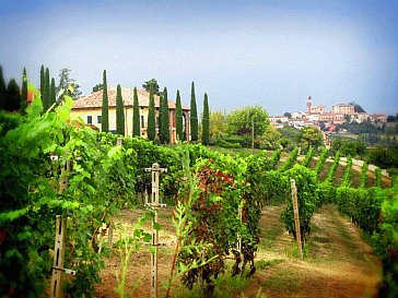 Ferienwohnung in Calamandrana - Ausblick über die Valle San Giovanni