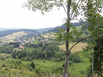 Ferienwohnung in Todtmoos - Idyllisch gelegen der Ort Hintertodtmoos