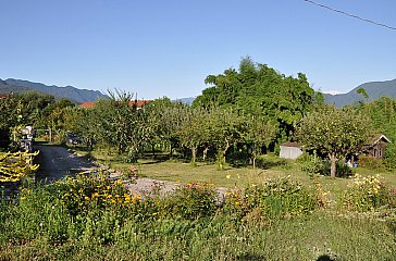 Ferienhaus in Luino - Weg zum Schwimmbad