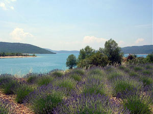 Ferienwohnung in Les Salles sur Verdon - Bild8