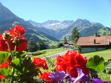 Ferienwohnung in Adelboden - Aussicht vom Haus Horbütze