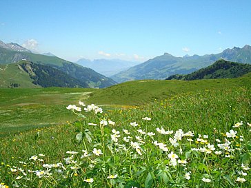 Ferienwohnung in Adelboden - Umgebung