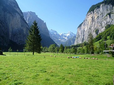 Ferienwohnung in Lauterbrunnen - Sicht ins Lauterbrunnental