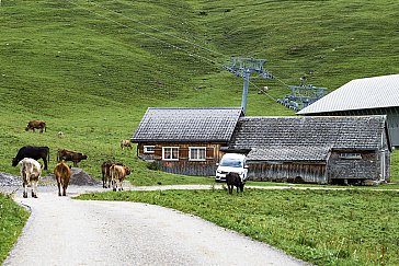 Ferienhaus in Unterwasser - Bild13