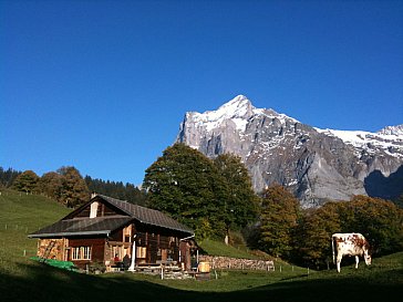 Ferienhaus in Grindelwald - Alphütte Grindelwald