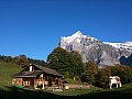 Ferienhaus in Grindelwald - Bern