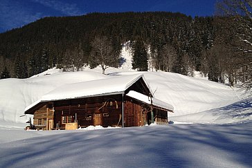 Ferienhaus in Grindelwald - Alphütte Grindelwald im Winter
