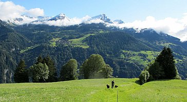 Ferienwohnung in Castiel - Bild16