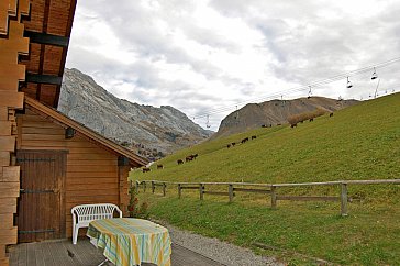 Ferienhaus in Le Grand Bornand - Im Winter Skiabfahrt bis zur Terrasse möglich