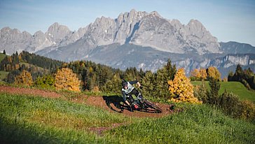 Ferienhaus in Waidring - Mountainbike