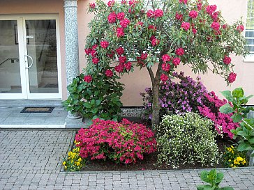 Ferienwohnung in Ascona - Eingang