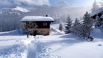 Ferienhaus in Axalp - Chalet von Nordosten