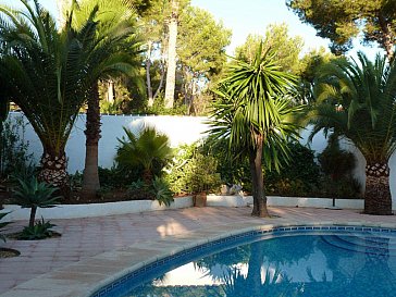 Ferienhaus in Moraira - Poolterasse mit Palmen