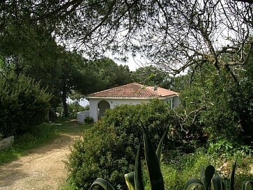 Ferienhaus in Capoliveri - Garten