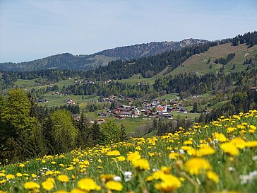 Ferienwohnung in Sibratsgfäll - Sommer im Bregenzerwald