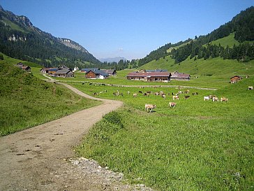 Ferienwohnung in Sibratsgfäll - Sommer im Bregenzerwald