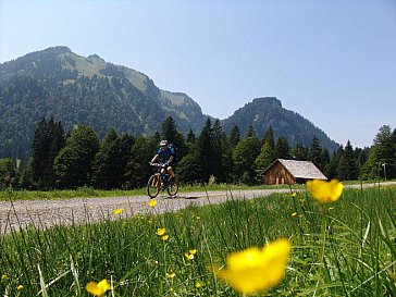 Ferienwohnung in Sibratsgfäll - Sommer im Bregenzerwald