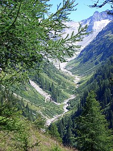 Ferienwohnung in Oberwald - Umgebung