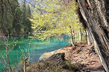 Ferienwohnung in Falera - Badesee - Crestasee