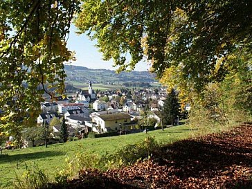 Ferienwohnung in Triengen - Blick aufs Dorf Triengen