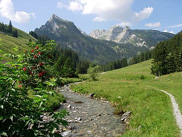 Ferienwohnung in Horboden - Die wildromantische Landschaft des Diemtigtals