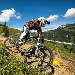 Ferienwohnung in Horboden - Bikepark Wiriehorn