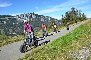 Ferienwohnung in Horboden - Fahrt mit dem Trotti ins Tal