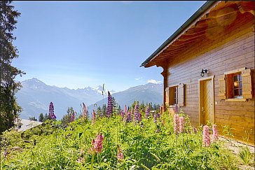 Ferienhaus in Les Collons - Das Haus im Sommer