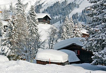 Ferienhaus in Valbella - Neuschnee in Graubünden