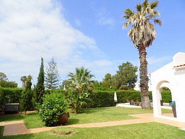 Ferienhaus in Carvoeiro - Garten