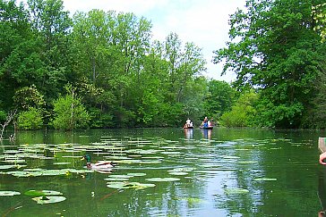 Ferienwohnung in Rheinhausen - Ausflugsziel: Naturschutzgebiet Taubergiessen