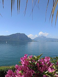 Ferienwohnung in Weggis - Aussicht auf See und Berge