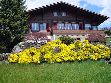 Ferienwohnung in Aeschlen ob Gunten - Chalet Mätteli in Aeschlen ob Gunten