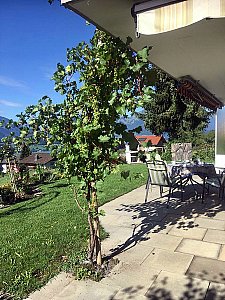 Ferienwohnung in Aeschlen ob Gunten - Blick in den Garten