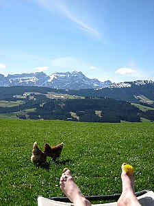 Ferienwohnung in Gonten - Aussicht