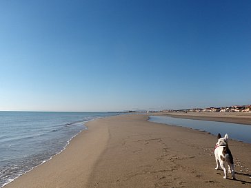 Ferienhaus in St. Pierre la Mer - Der lange Sanstrand