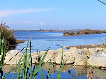 Ferienhaus in St. Pierre la Mer - Und die Etangs