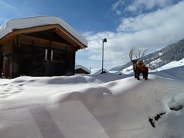 Ferienwohnung in Münster - Winterimpressionen