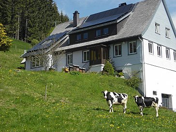 Ferienwohnung in Furtwangen - Armins Blackforest-Stube» in Furtwangen
