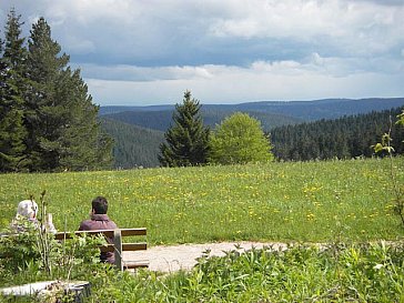 Ferienwohnung in Furtwangen - Aussicht auf das Tal der BlackForest-Stube