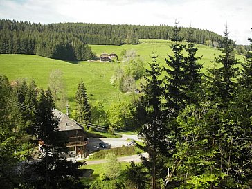 Ferienwohnung in Furtwangen - Gasthaus Birke nur 300m von unserem Haus