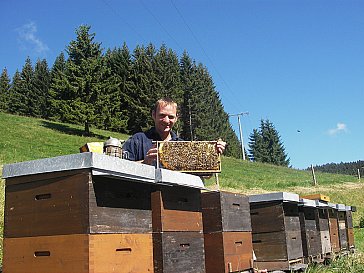 Ferienwohnung in Furtwangen - Imkerstand