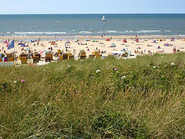 Ferienwohnung in Egmond aan Zee - Strand
