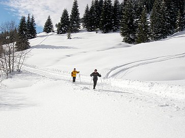 Ferienwohnung in Lofer-St. Martin - Langläufer im Salzburger Saalachtal