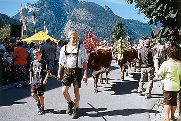 Ferienwohnung in Lofer-St. Martin - Almabtrieb von der Loferer Alm