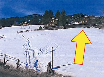 Ferienhaus in Adelboden - Lage Chalet Adelboden