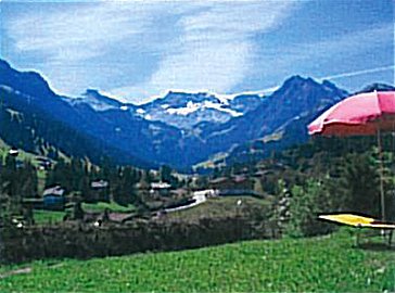 Ferienhaus in Adelboden - Aussicht vom Chalet Adelboden